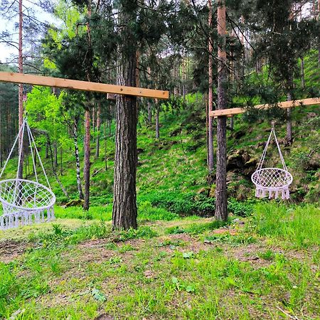 Vila Pogled Wellness I Spa Divčibare المظهر الخارجي الصورة