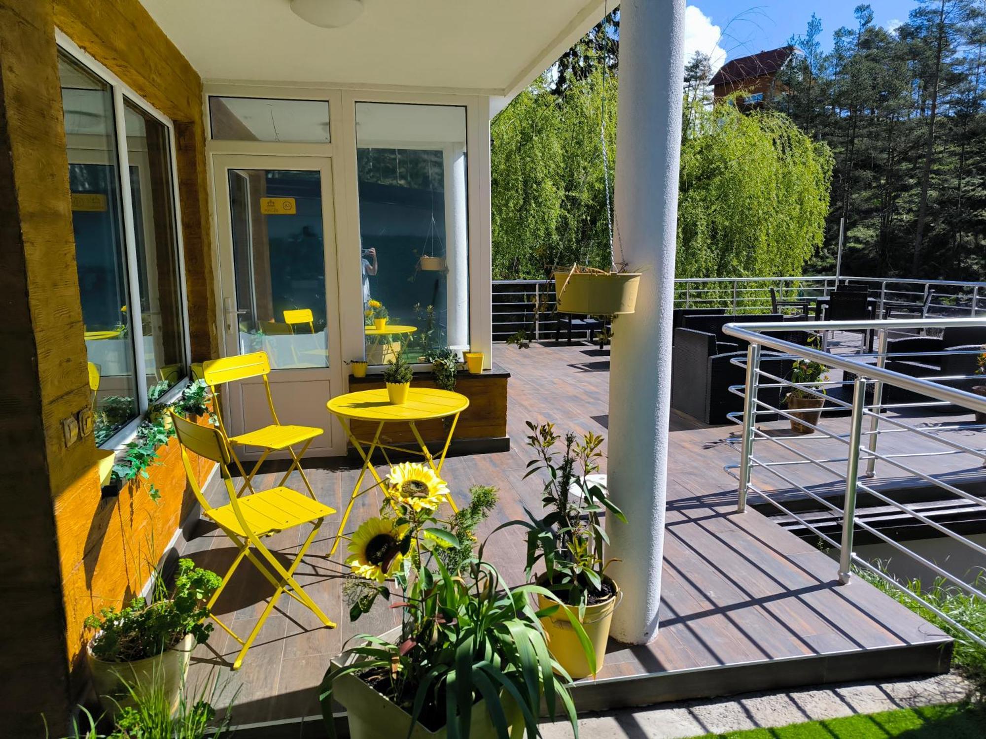 Vila Pogled Wellness I Spa Divčibare المظهر الخارجي الصورة