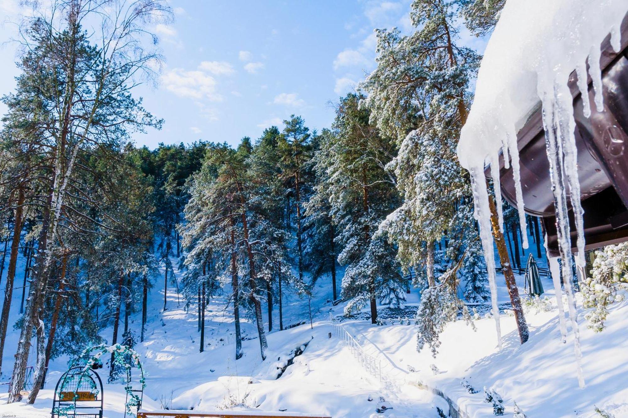 Vila Pogled Wellness I Spa Divčibare المظهر الخارجي الصورة