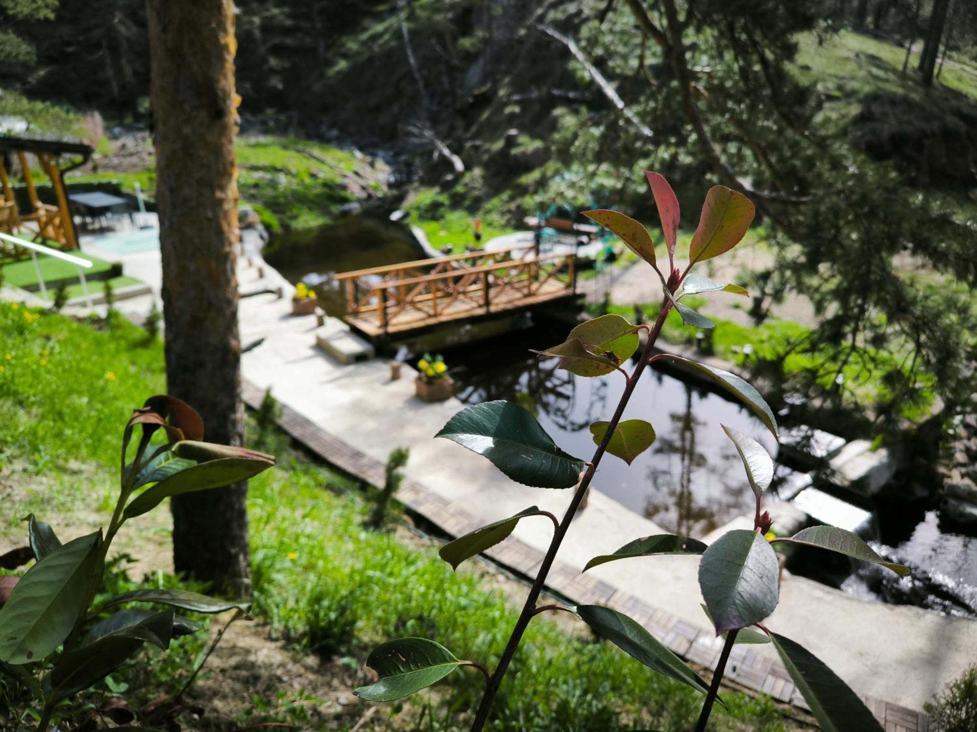 Vila Pogled Wellness I Spa Divčibare المظهر الخارجي الصورة