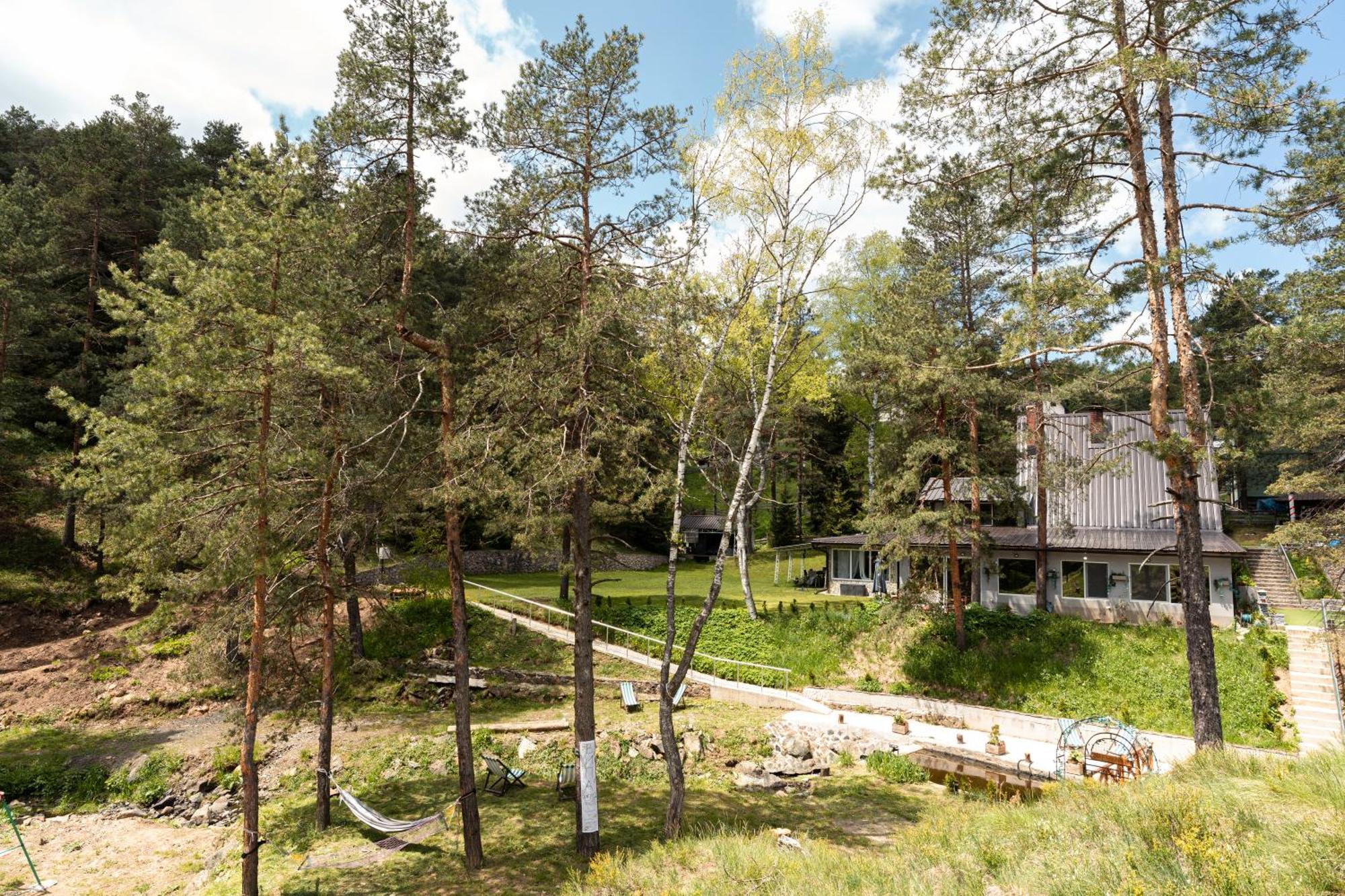 Vila Pogled Wellness I Spa Divčibare المظهر الخارجي الصورة